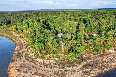 a Perfect Sanctuary to enjoy Sam Rayburn Lake Life! WATERFRONT - photo 49