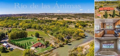 Lake Home For Sale in Aztec, New Mexico