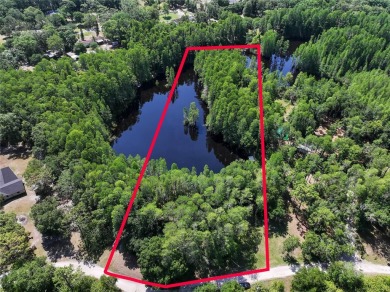 Lake Acreage For Sale in Land O Lakes, Florida