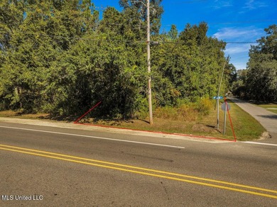 Corner lot in a golf cart-friendly community less than a mile - photo 1