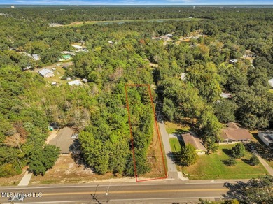 Corner lot in a golf cart-friendly community less than a mile - photo 3