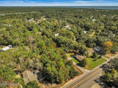 Corner lot in a golf cart-friendly community less than a mile - photo 4