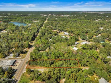 Corner lot in a golf cart-friendly community less than a mile - photo 9