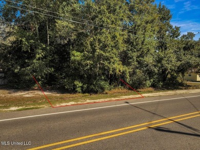 Fantastic lot in a golf cart-friendly community less than a mile - photo 1