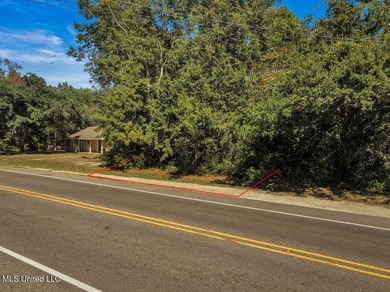 Fantastic lot in a golf cart-friendly community less than a mile - photo 2