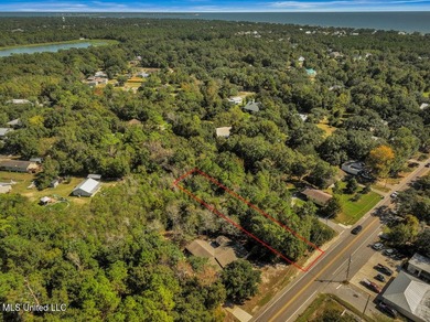 Fantastic lot in a golf cart-friendly community less than a mile - photo 4