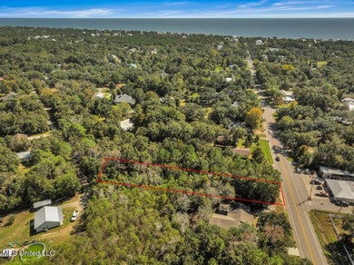 Fantastic lot in a golf cart-friendly community less than a mile - photo 5