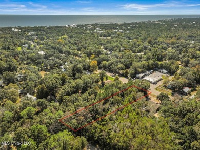Fantastic lot in a golf cart-friendly community less than a mile - photo 6