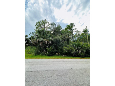 Build or Invest at 3 Seattle Trail, Palm Coast! Rare - photo 11
