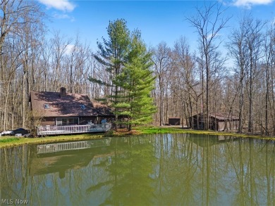 (private lake, pond, creek) Home For Sale in Jefferson Ohio