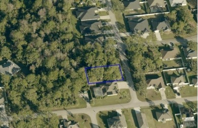 Build or Invest at 3 Seattle Trail, Palm Coast! Rare - photo 12