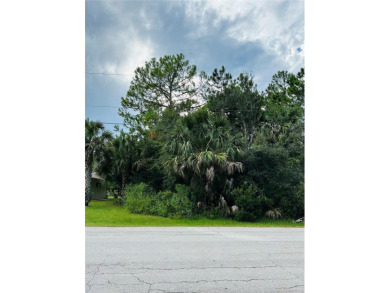 Build or Invest at 3 Seattle Trail, Palm Coast! Rare - photo 14