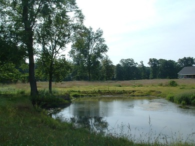 (private lake, pond, creek) Acreage For Sale in Centerburg Ohio
