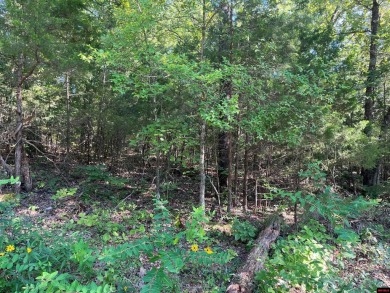 Lake Lot For Sale in Midway, Arkansas