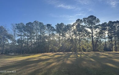 A rare opportunity for an unrestricted, waterfront lot just - photo 3