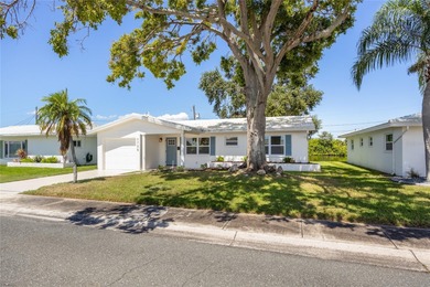 (private lake, pond, creek) Home For Sale in Pinellas Park Florida