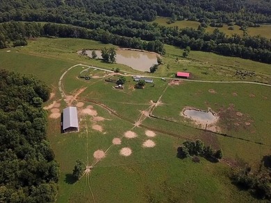 CATTLE RANCH. Start your own cattle or horse operation - photo 28