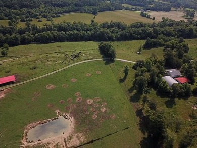 CATTLE RANCH. Start your own cattle or horse operation - photo 31