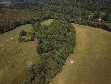CATTLE RANCH. Start your own cattle or horse operation - photo 36