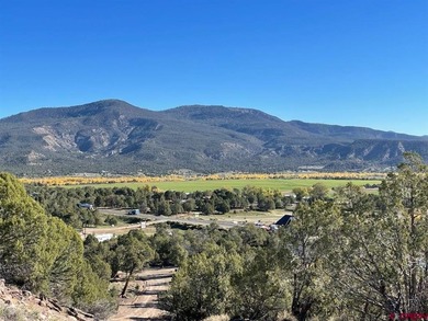 Navajo Reservoir Commercial For Sale in Arboles Colorado