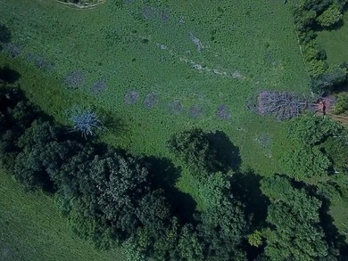CATTLE RANCH. Start your own cattle or horse operation - photo 44