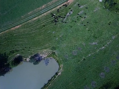 CATTLE RANCH. Start your own cattle or horse operation - photo 47