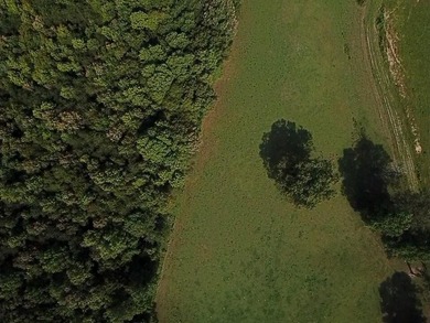CATTLE RANCH. Start your own cattle or horse operation - photo 48