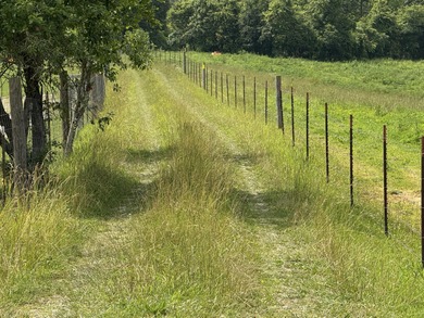 CATTLE RANCH. Start your own cattle or horse operation - photo 57