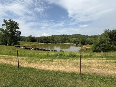 CATTLE RANCH. Start your own cattle or horse operation - photo 58