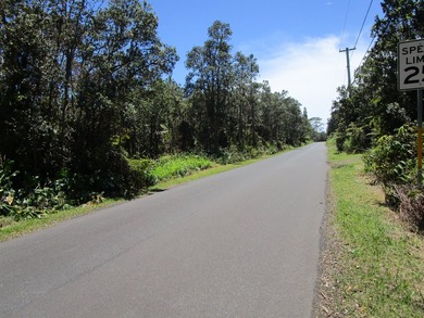 Beautiful and huge native Ohia & Fern trees throughout the - photo 4