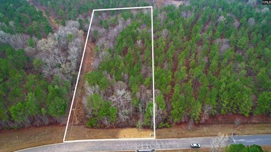 2 acres building lot inside the gated community called The Woods - photo 5
