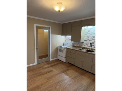 Welcome home to this stunning, fully remodeled property offering - photo 10