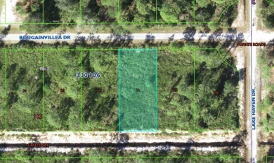 Lake Lot For Sale in Indian Lake Estates, Florida