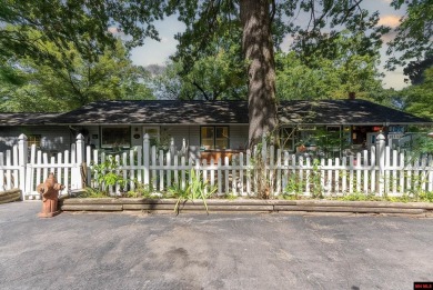 Lake Commercial For Sale in Gamaliel, Arkansas