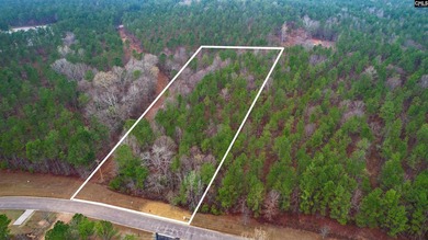 Lake Wateree is a 21-square-mile lake in Kershaw, Fairfield, and - photo 3