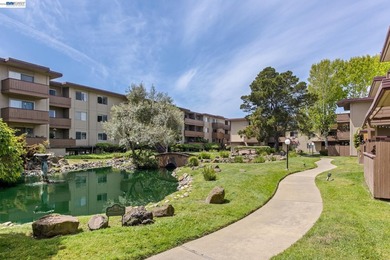 Welcome to resort-style living in the heart of vibrant Alameda - photo 3
