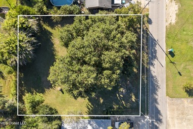 Beautiful 0.29-acre lot in the desirable Great Southern Golf - photo 6