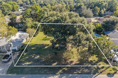 Beautiful 0.29-acre lot in the desirable Great Southern Golf - photo 10