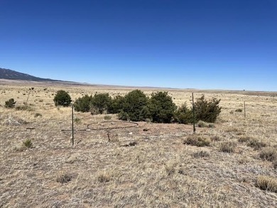 Up close views of the black hills with this 40 acre parcel in - photo 11