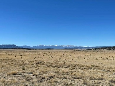 Up close views of the black hills with this 40 acre parcel in - photo 17
