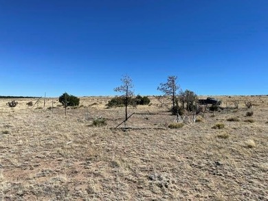 Up close views of the black hills with this 40 acre parcel in - photo 19