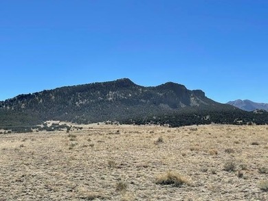 Up close views of the black hills with this 40 acre parcel in - photo 20