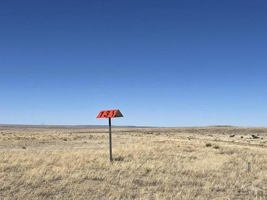 Up close views of the black hills with this 40 acre parcel in - photo 22