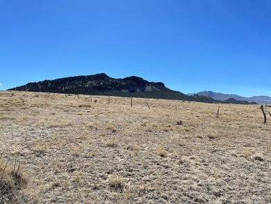 Up close views of the black hills with this 40 acre parcel in - photo 23