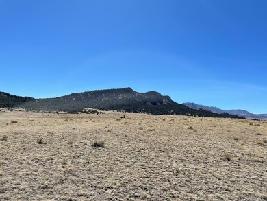 Up close views of the black hills with this 40 acre parcel in - photo 25