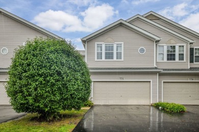 Lake Townhome/Townhouse Sale Pending in Aurora, Illinois