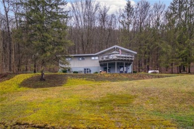 Hope Lake Home For Sale in Cortland New York