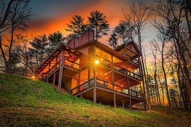 (private lake, pond, coastal) Home For Sale in Blue Ridge Georgia