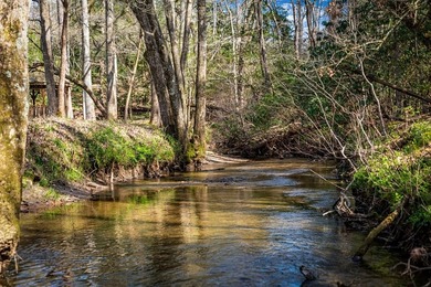 Creekside living has never looked this good! This stunning - photo 3