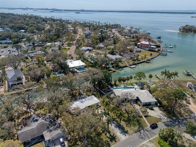 Exceptional near 1/2 acre lot with prime 100 sq ft water - photo 23